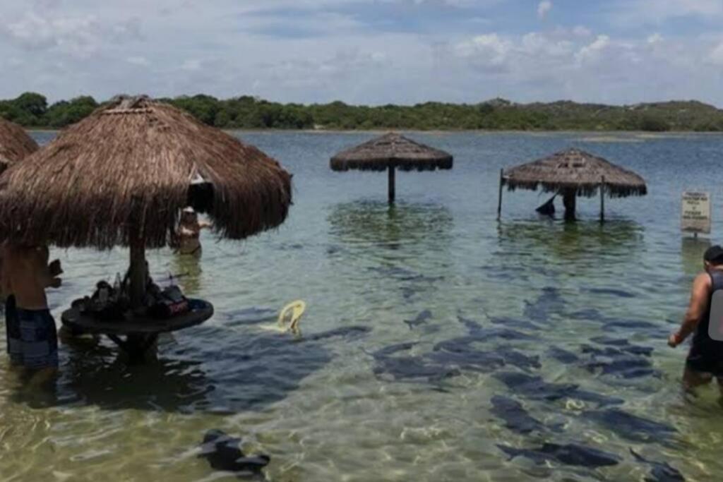 Quase Pe Na Areia 60m Da Aracaju